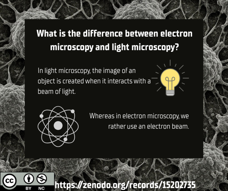 Elect or light microscopy