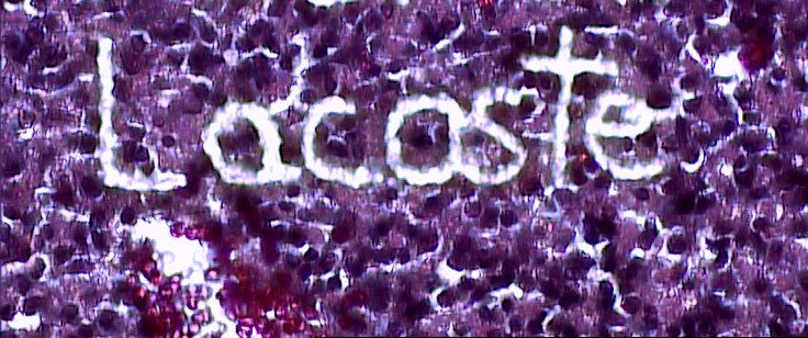 Feature Image 4