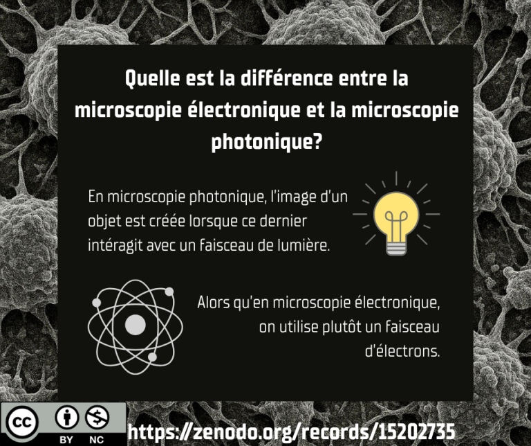 Microscopie électronique ou photonique