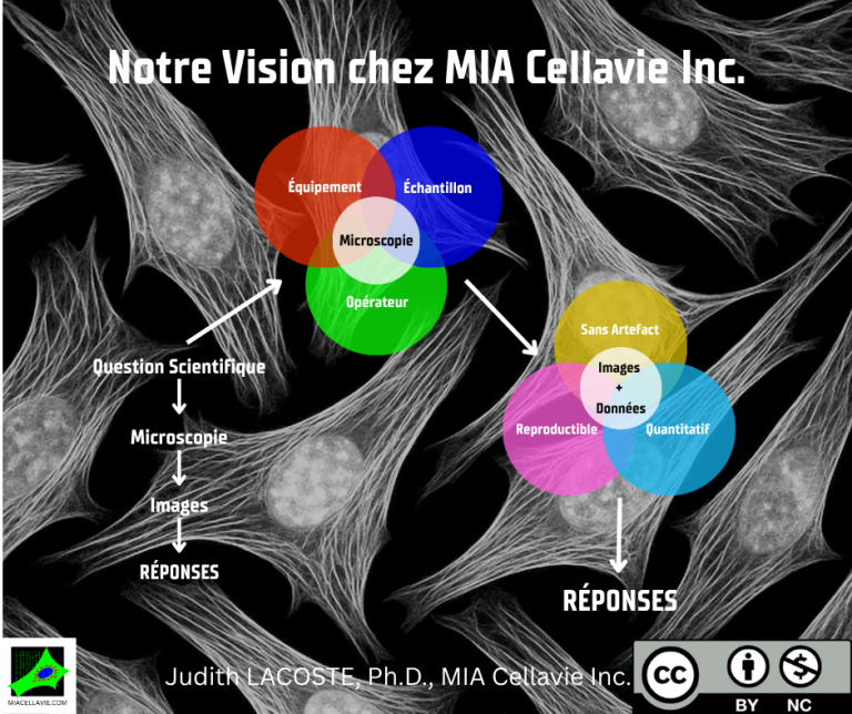 Notre Vision