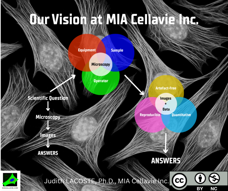 Our Vision
