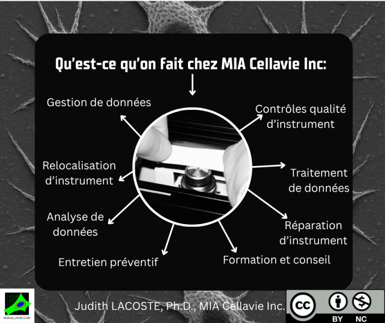 Qu'est-ce