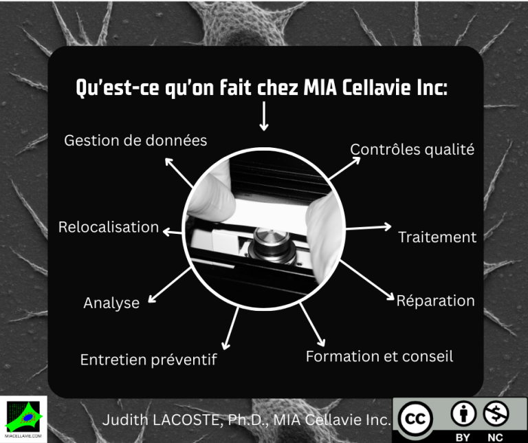 Qu'est-ce